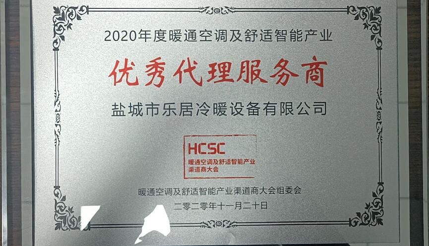 2020年優(yōu)秀代理服務商